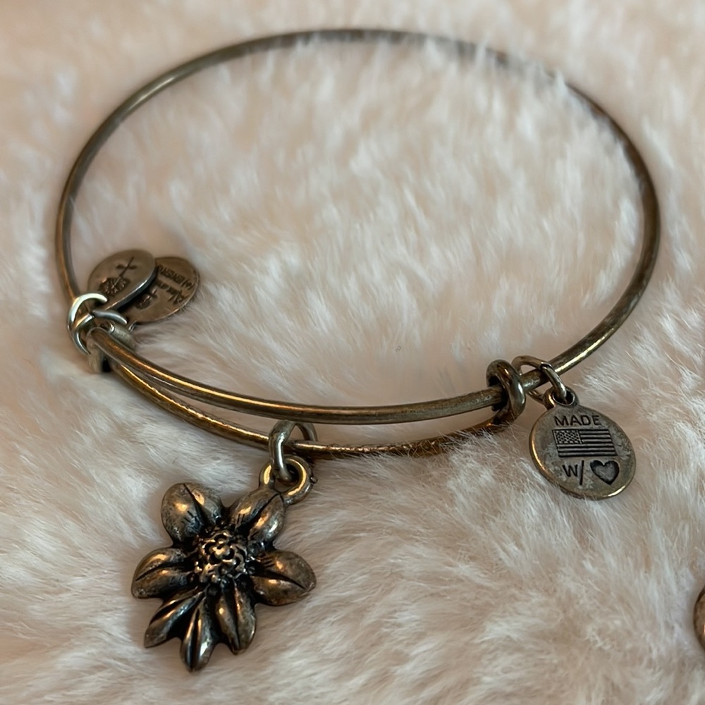 Alex & Ani bracelets - Picture 5 of 9